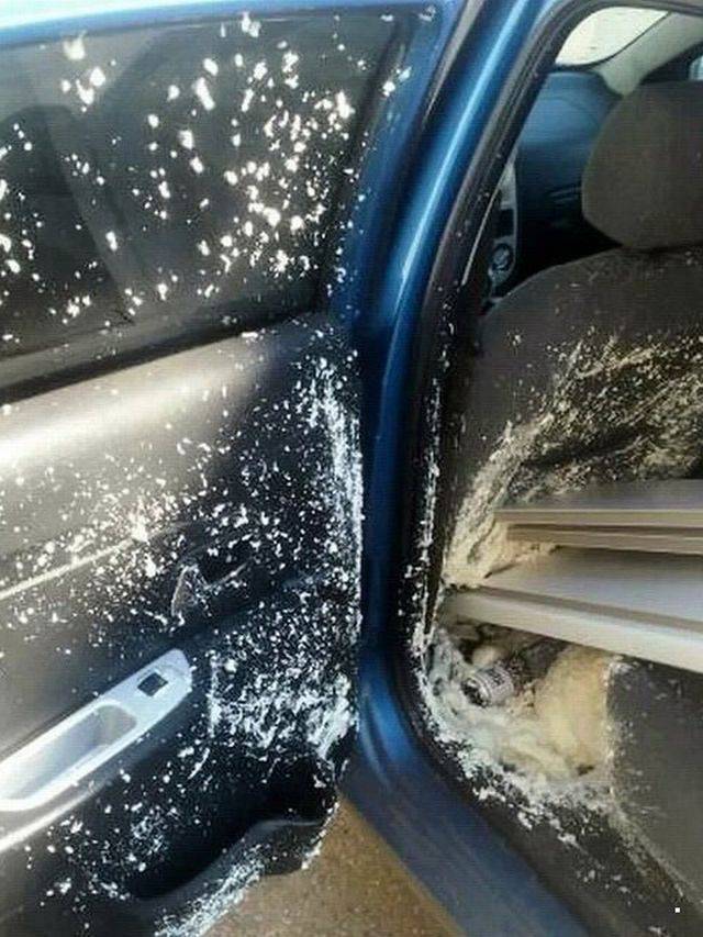 daily picdump 101 pics 37.html - 101 HD Photos | Premium Gallery 2018