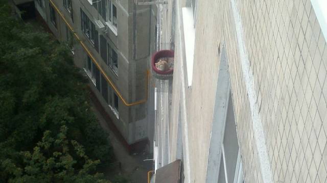 daily picdump 98 pics 48.html - 98 HD Photos | Premium Gallery 2018