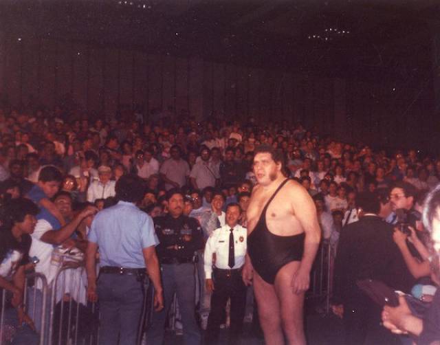 Gigantic Facts About Andre The Giant