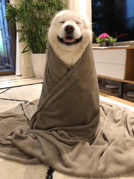 Morning Picdump