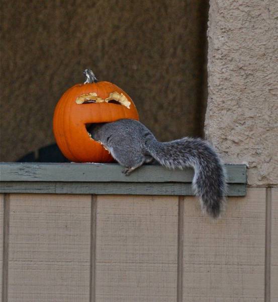 morning picdump 52 pics 17.html - 52 HD Photos | Premium Gallery 2018