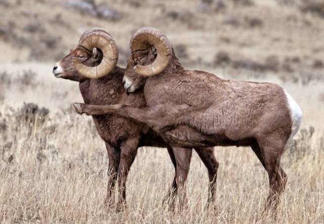 morning picdump 52 pics 17.html - 52 HD Photos | Premium Gallery 2018