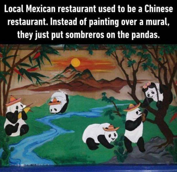 funny picdump 52 pics 4.html - 52 HD Photos | Premium Gallery 2018