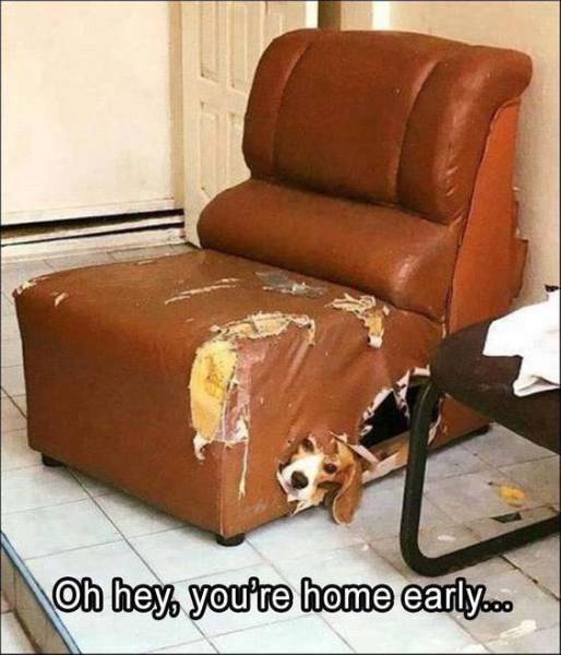 funny picdump 52 pics 4.html - 52 HD Photos | Premium Gallery 2018