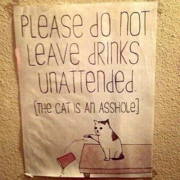 Daily Picdump