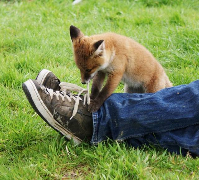 Daily Picdump