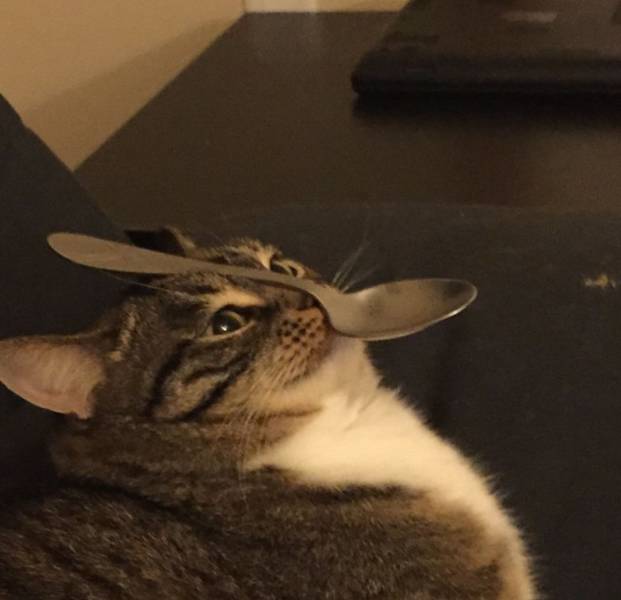 daily picdump 91 pics 1.html - 91 HD Photos | Premium Gallery 2018