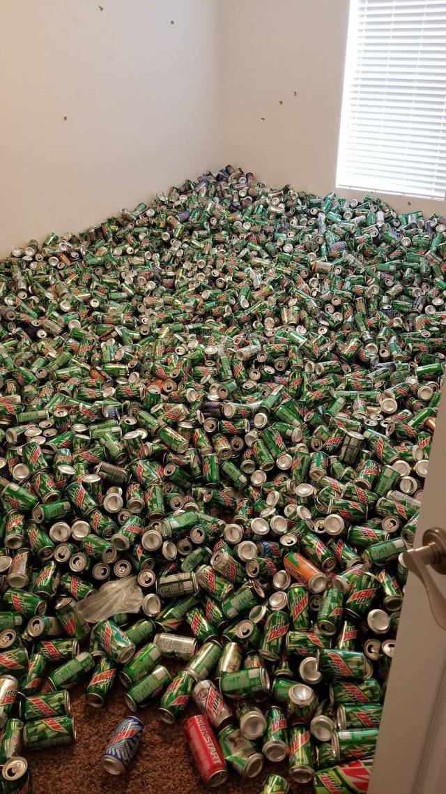 Daily Picdump