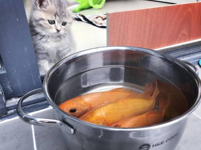 Daily Picdump