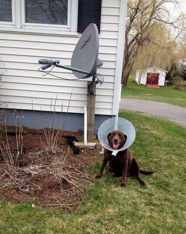 Daily Picdump