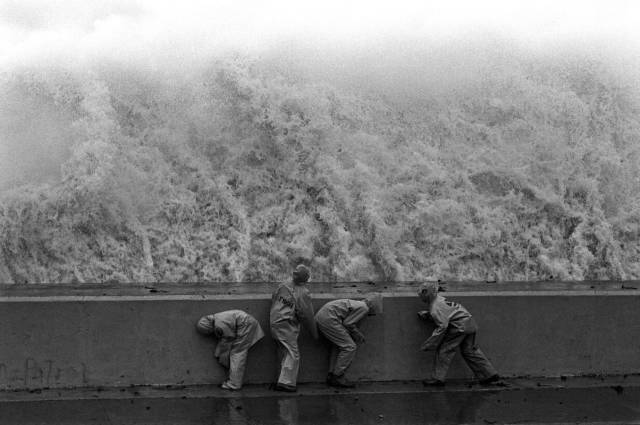 daily picdump 97 pics 5.html - 97 HD Photos | Premium Gallery 2018