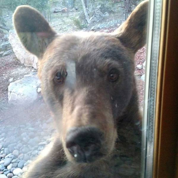 daily picdump 99 pics 11.html - 99 HD Photos | Premium Gallery 2018