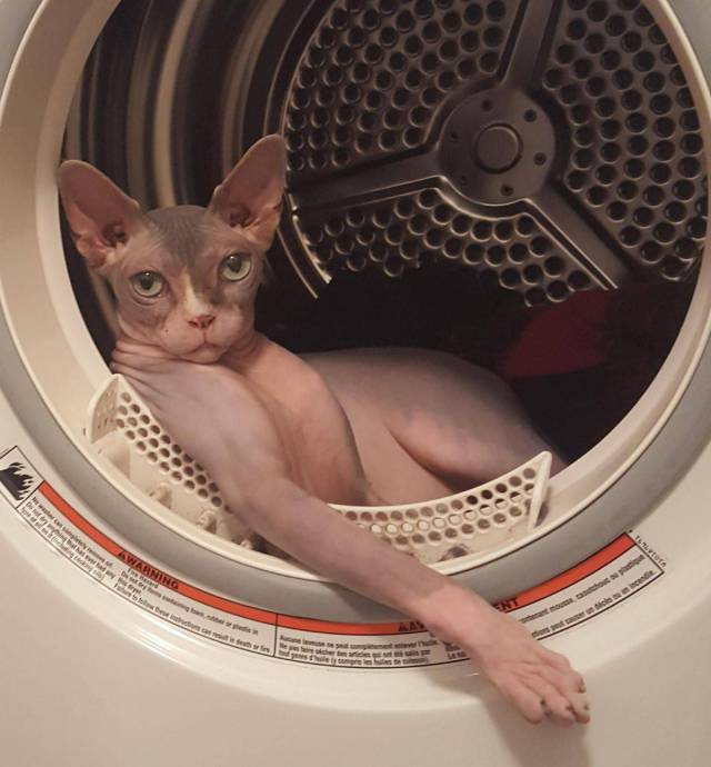 Daily Picdump