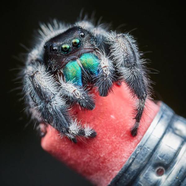 morning picdump 51 pics 22.html - 51 HD Photos | Premium Gallery 2018