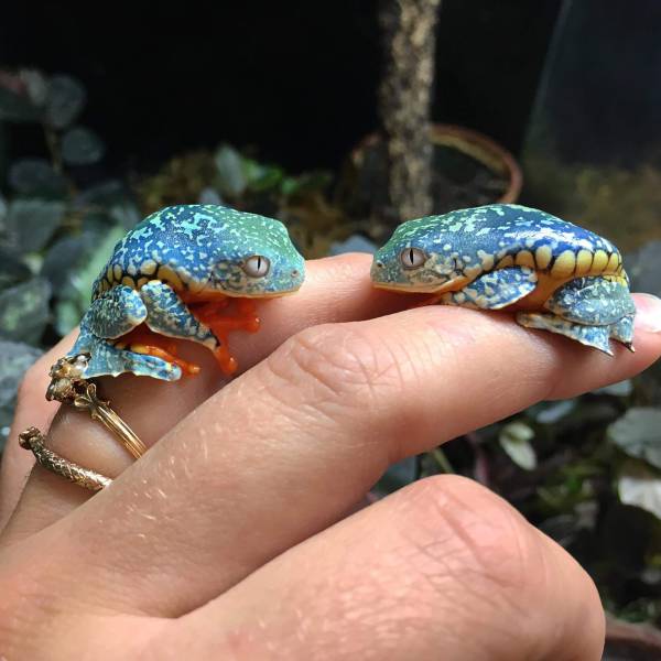 morning picdump 51 pics 22.html - 51 HD Photos | Premium Gallery 2018