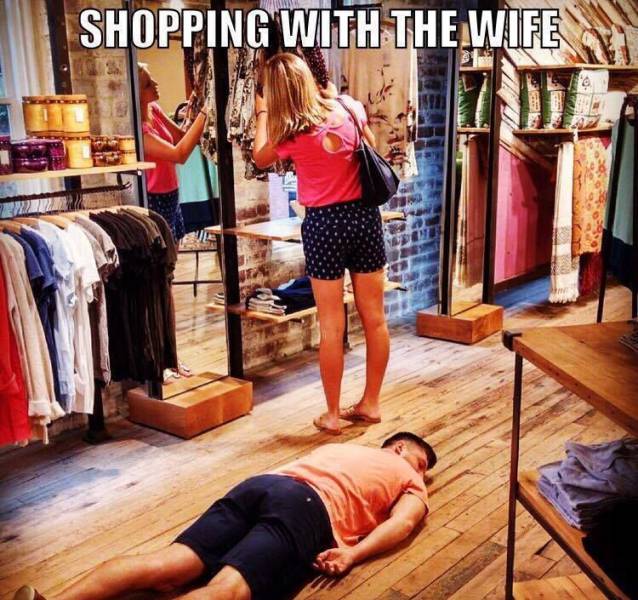 Daily Picdump