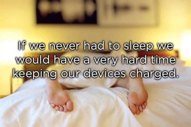Shower Thoughts Are Something Extraordinary
