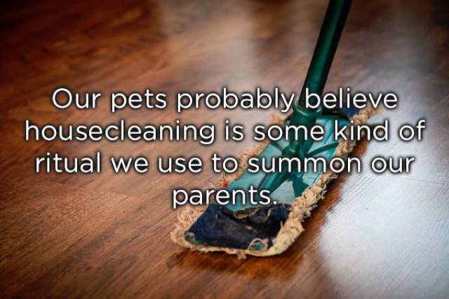 Shower Thoughts Are Something Extraordinary