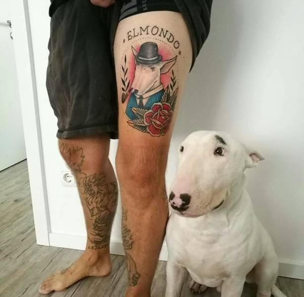 Daily Picdump