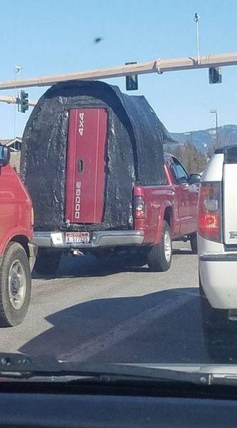 Morning Picdump