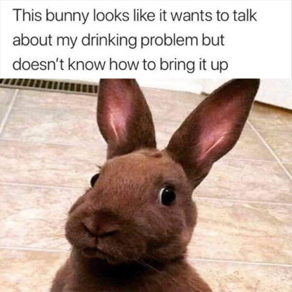funny picdump 51 pics 17.html - 51 HD Photos | Premium Gallery 2018