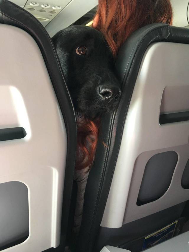 daily picdump 98 pics 49.html - 98 HD Photos | Premium Gallery 2018