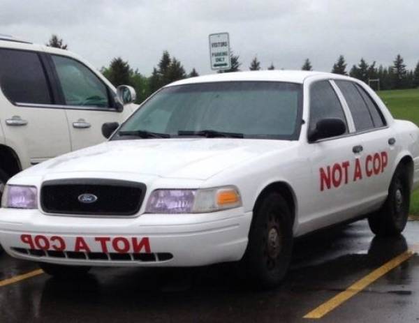 morning picdump 52 pics 15.html - 52 HD Photos | Premium Gallery 2018