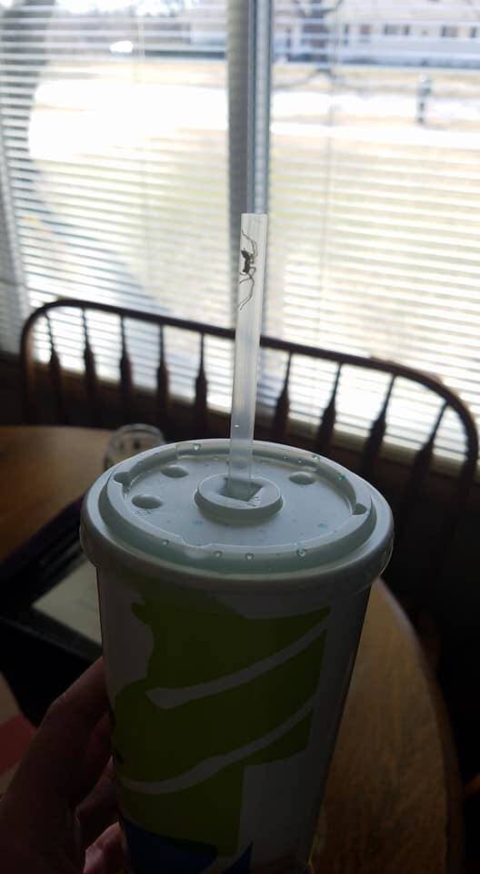 morning picdump 52 pics 15.html - 52 HD Photos | Premium Gallery 2018