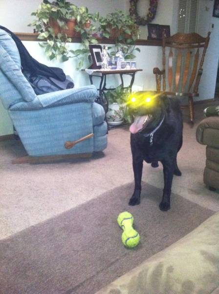 morning picdump 50 pics 22.html - 50 HD Photos | Premium Gallery 2018