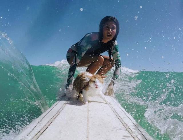 Daily Picdump