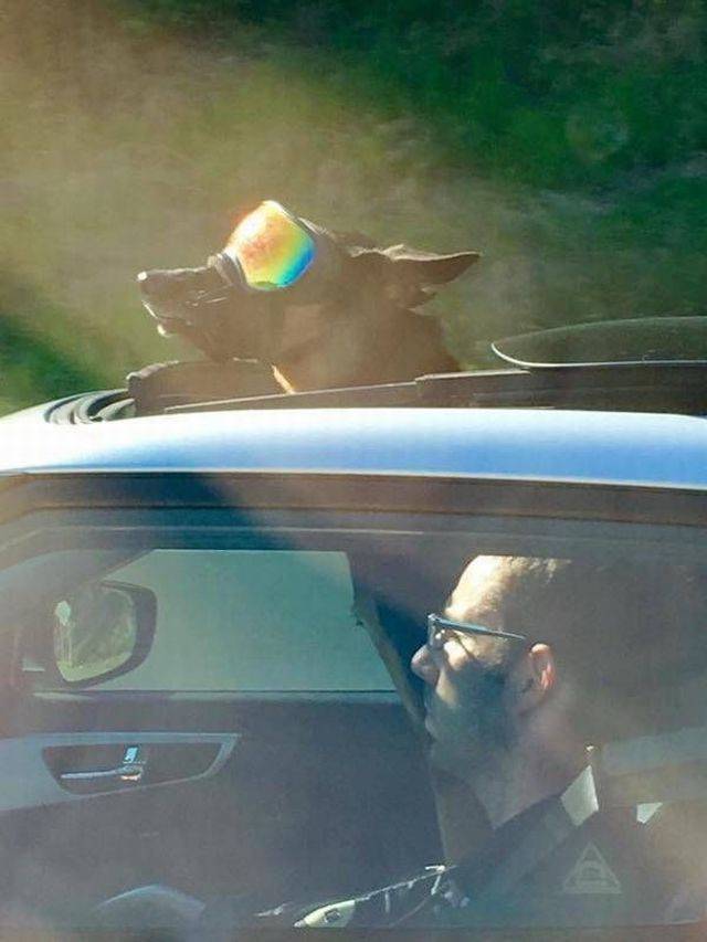 Daily Picdump