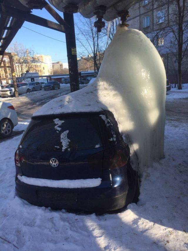 Daily Picdump