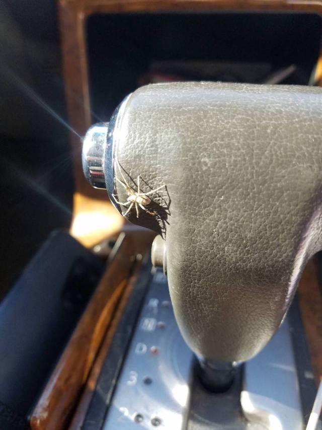 daily picdump 96 pics 38.html - 96 HD Photos | Premium Gallery 2018