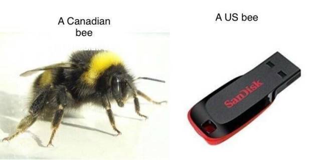 Funny Picdump