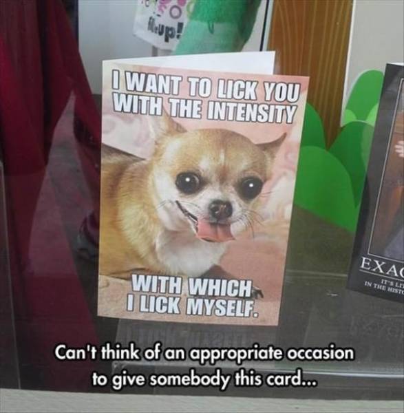 Funny Picdump