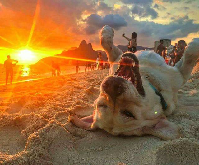 Daily Picdump