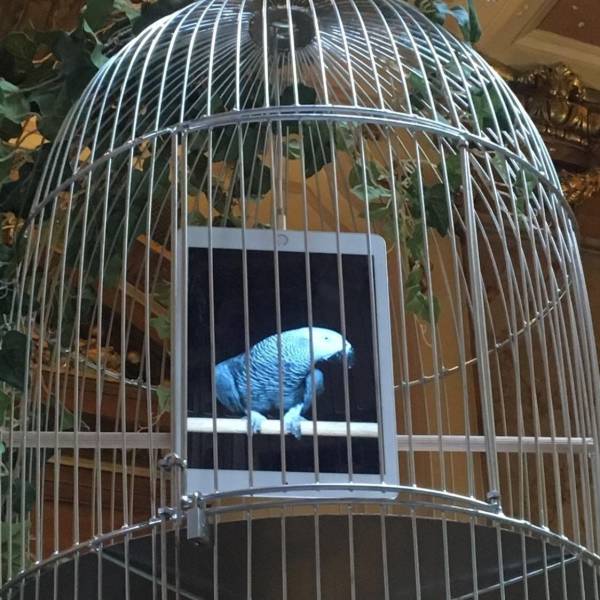 Daily Picdump