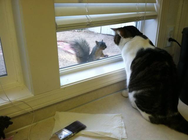 Daily Picdump