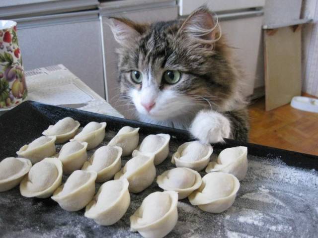 daily picdump 104 pics 21.html - 104 HD Photos | Premium Gallery 2018