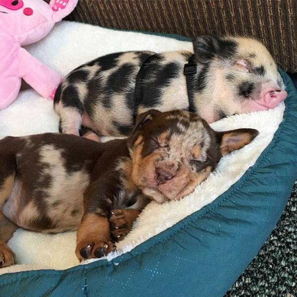 daily picdump 104 pics 21.html - 104 HD Photos | Premium Gallery 2018