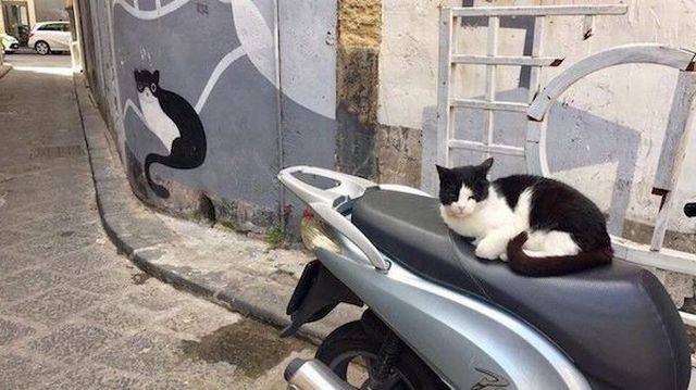 daily picdump 104 pics 21.html - 104 HD Photos | Premium Gallery 2018