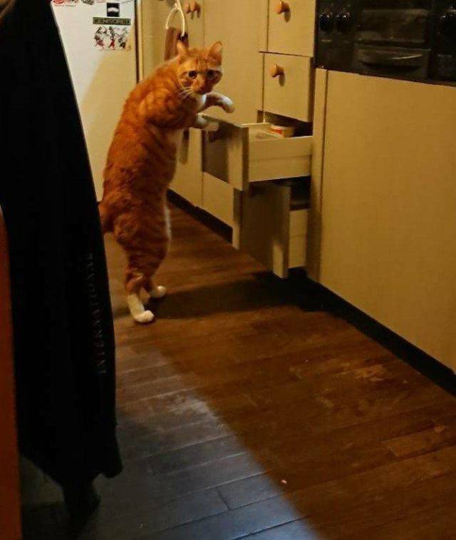 Daily Picdump