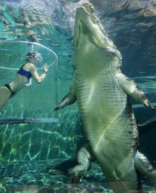 daily picdump 104 pics 21.html - 104 HD Photos | Premium Gallery 2018