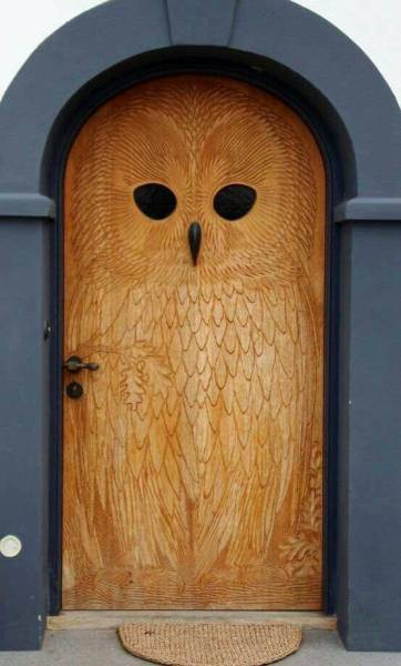 Morning Picdump