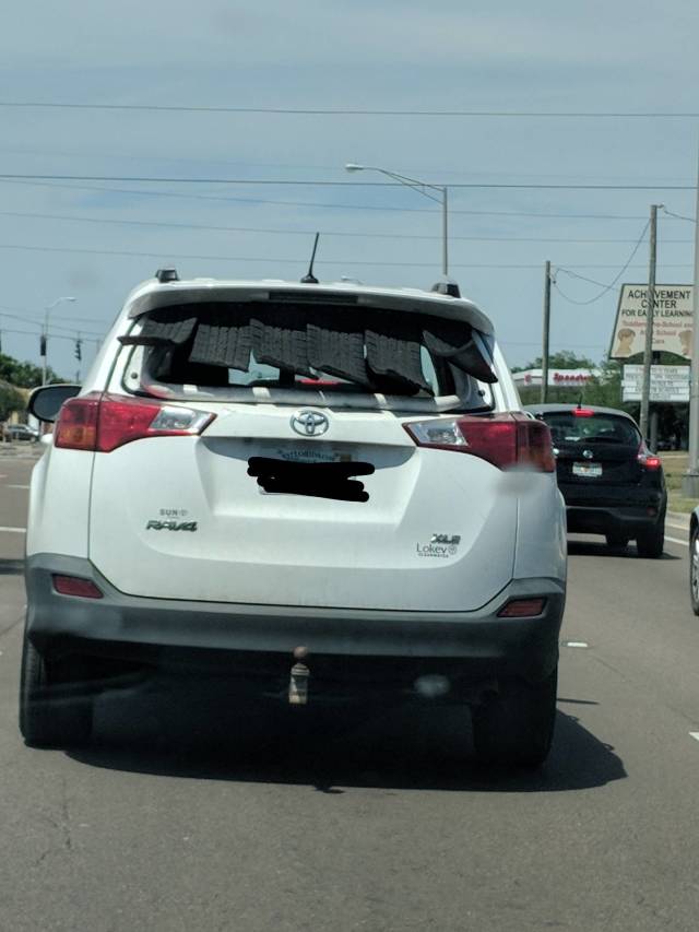morning picdump 52 pics 25.html - 52 HD Photos | Premium Gallery 2018
