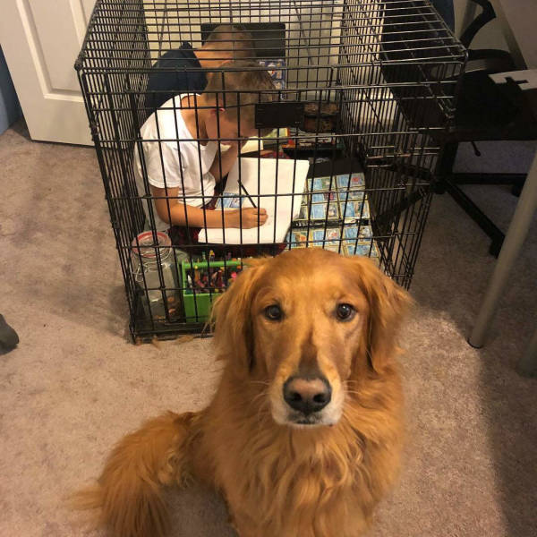 morning picdump 52 pics 25.html - 52 HD Photos | Premium Gallery 2018