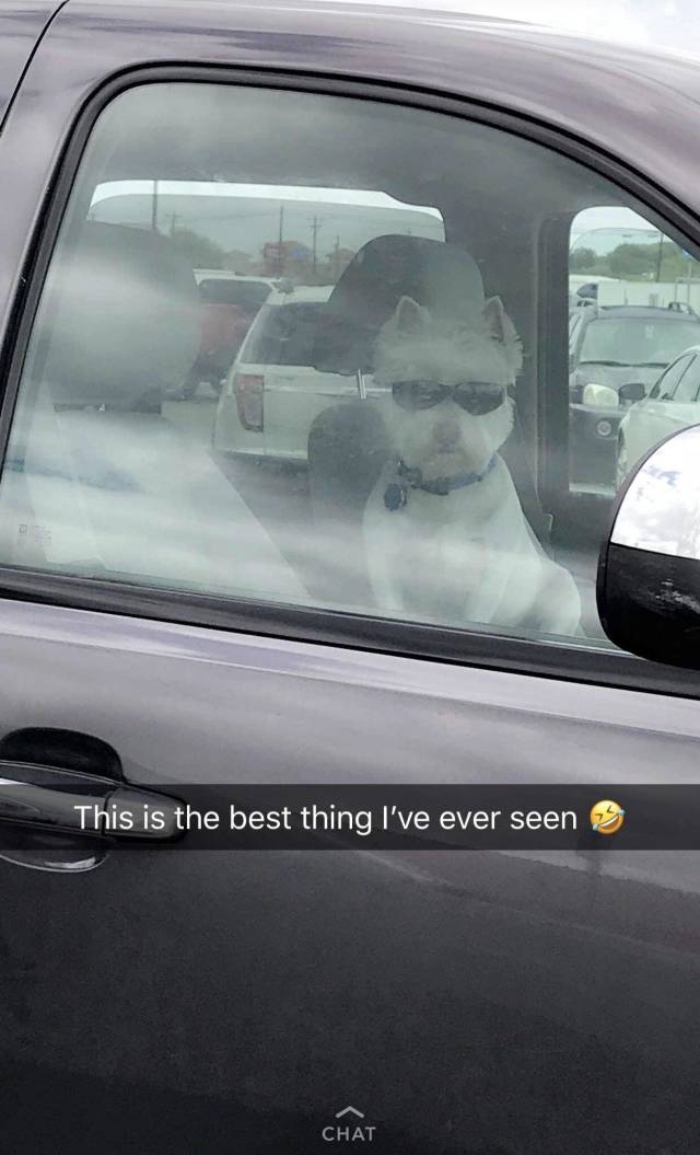 morning picdump 52 pics 25.html - 52 HD Photos | Premium Gallery 2018