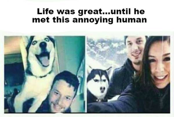 funny picdump 54 pics 21.html - 54 HD Photos | Premium Gallery 2018