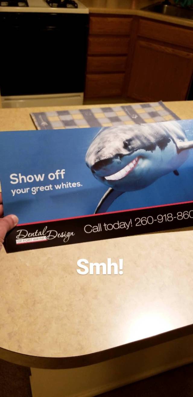 funny picdump 54 pics 21.html - 54 HD Photos | Premium Gallery 2018