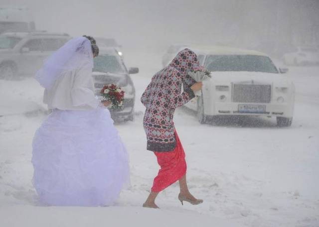 daily picdump 102 pics 4.html - 102 HD Photos | Premium Gallery 2018